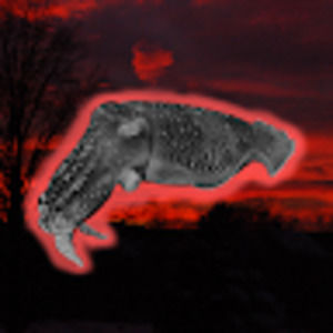 Meet your Posher, Crimson